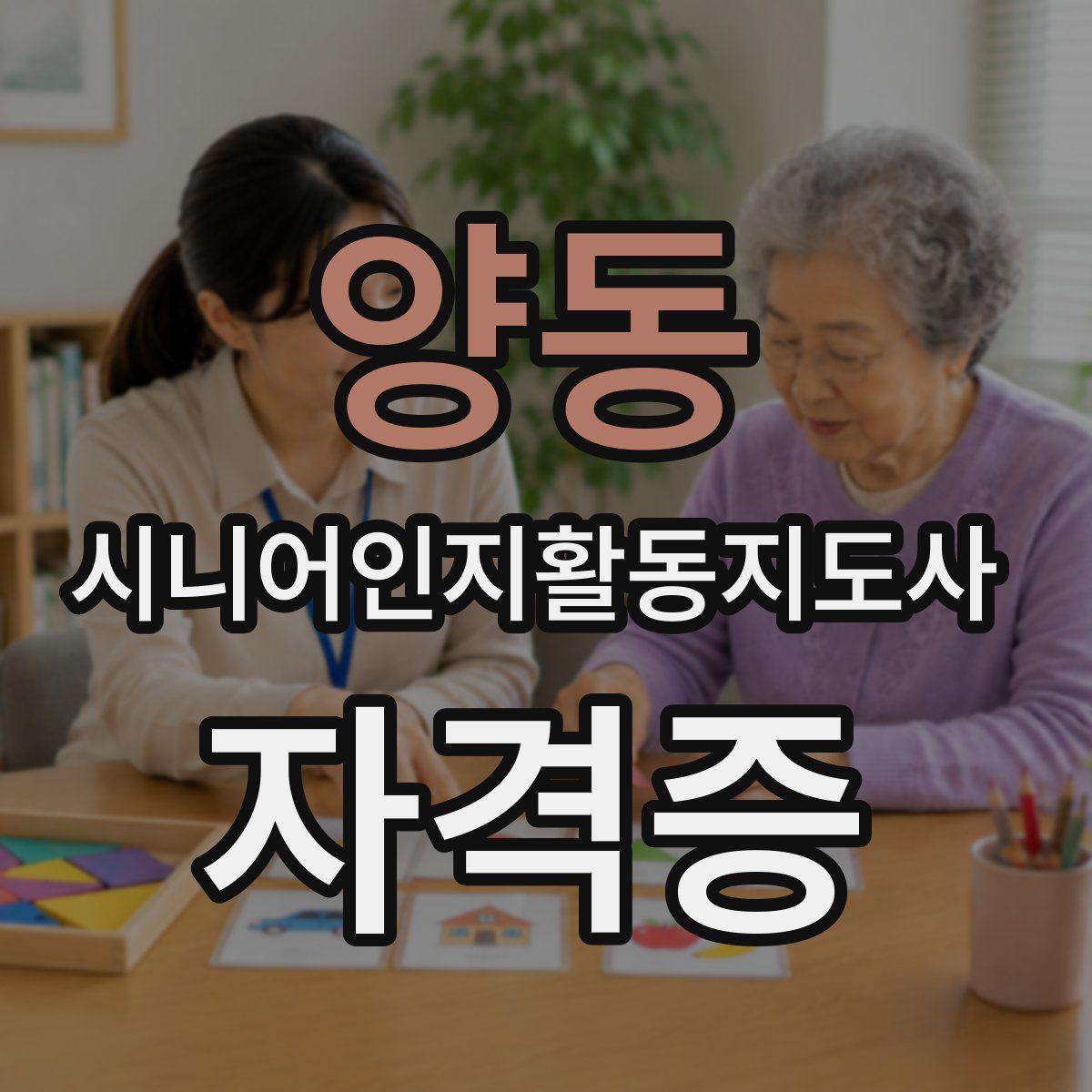 양동 시니어인지활동지도사 자격증