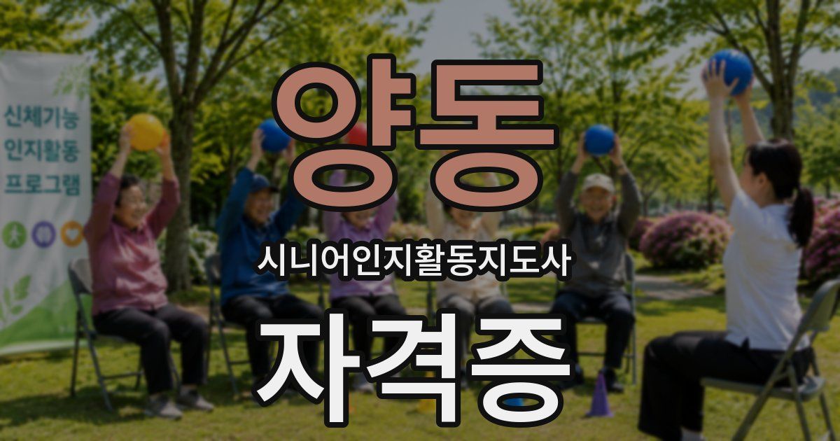 양동 시니어인지활동지도사 자격증