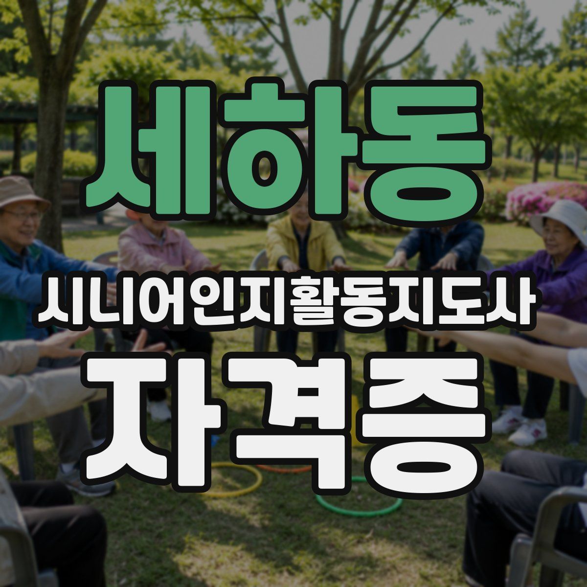 세하동 시니어인지활동지도사 자격증