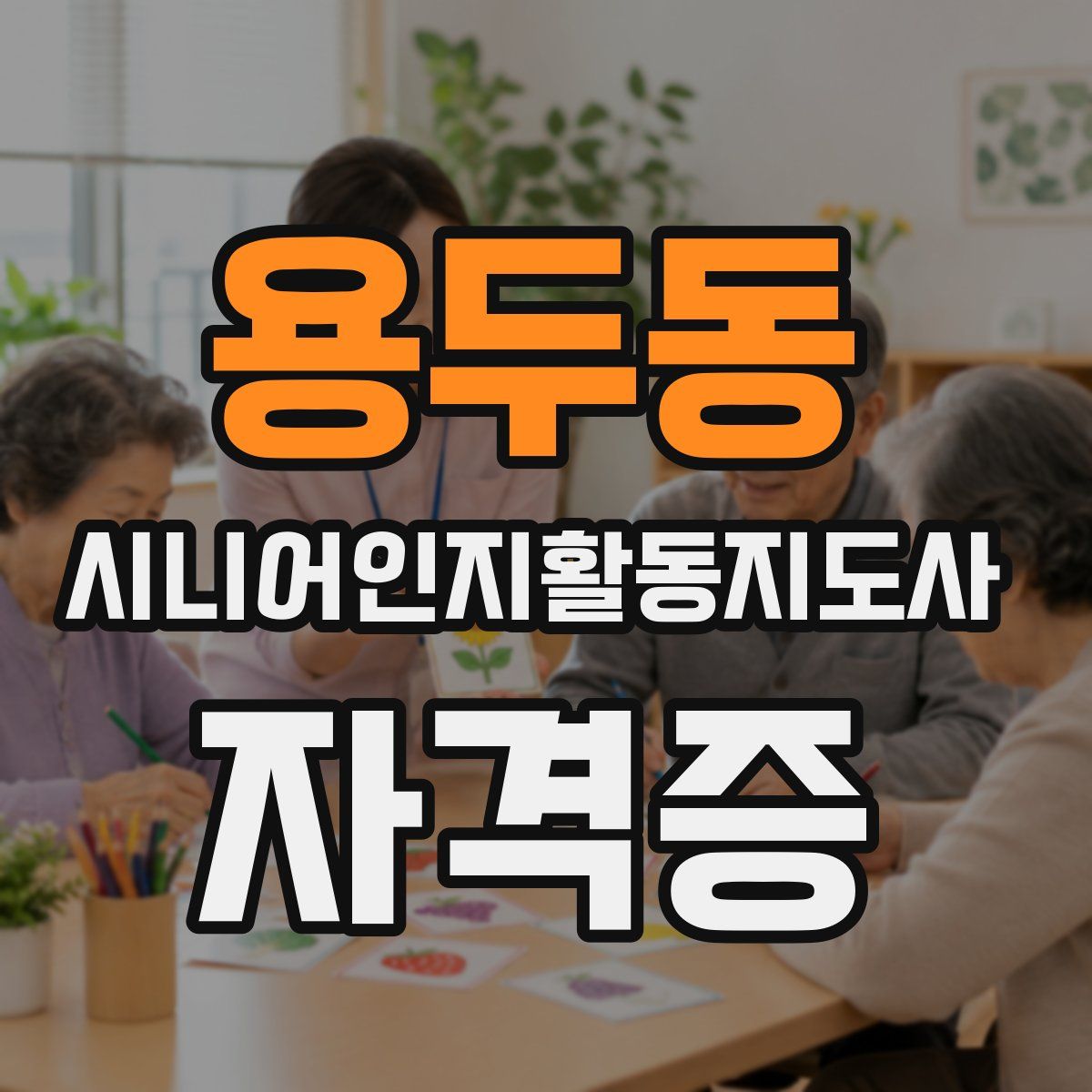 용두동 시니어인지활동지도사 자격증