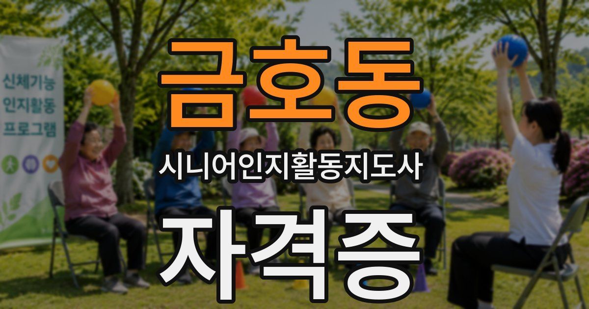 금호동 시니어인지활동지도사 자격증