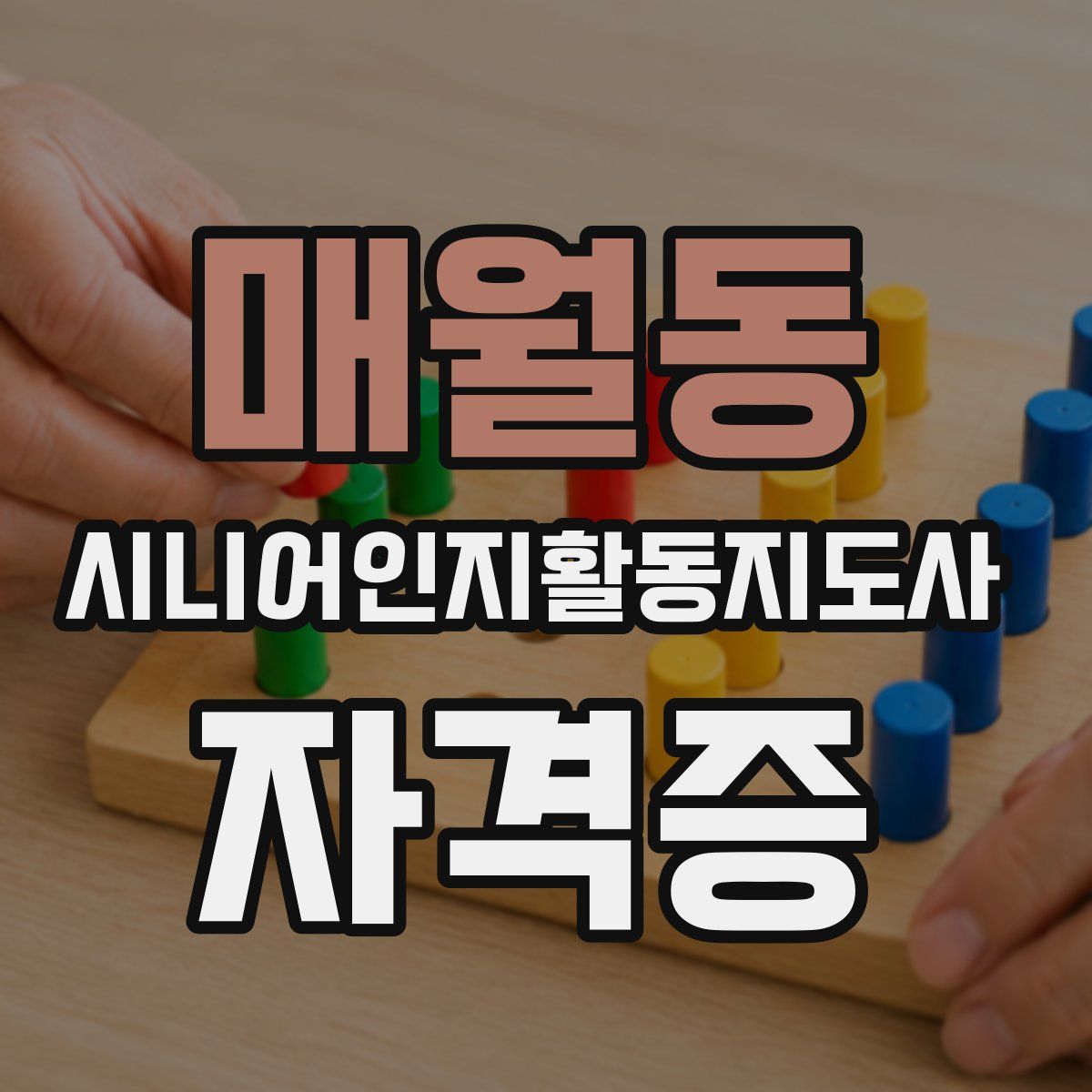 매월동 시니어인지활동지도사 자격증