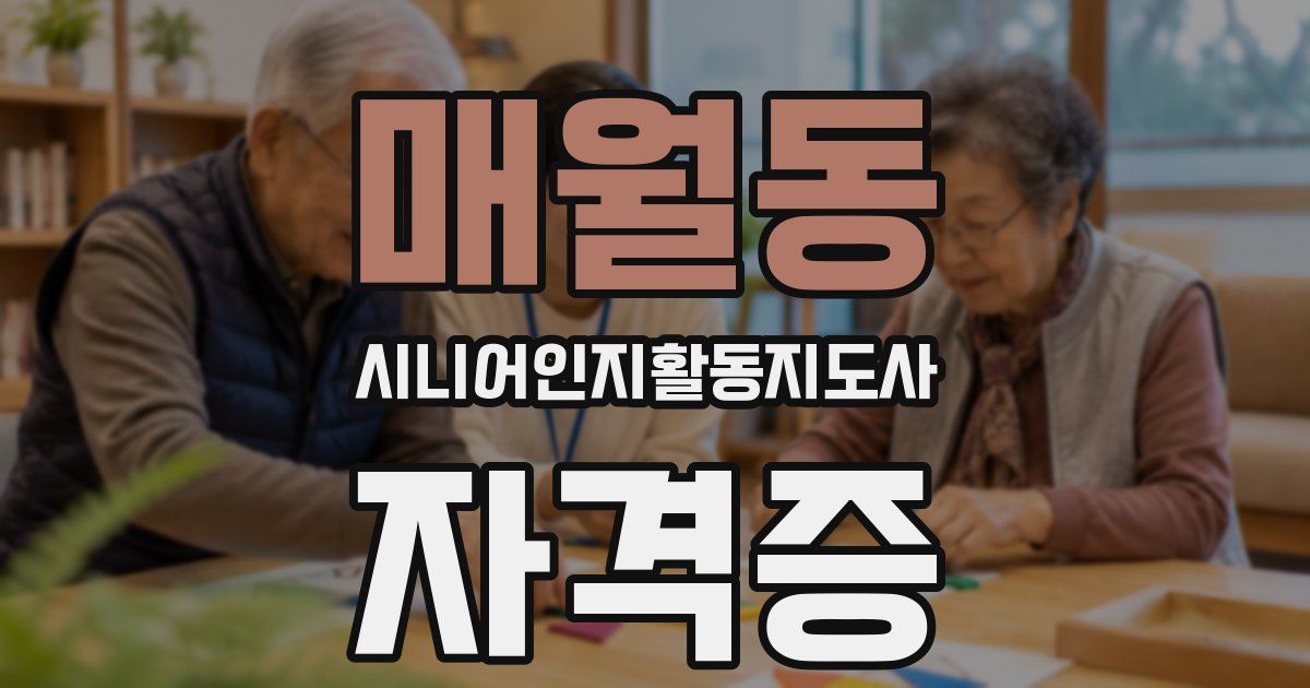 매월동 시니어인지활동지도사 자격증