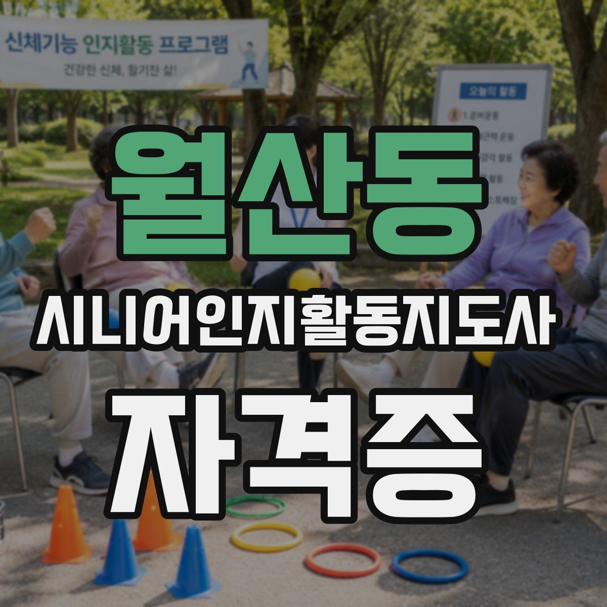 월산동 시니어인지활동지도사 자격증