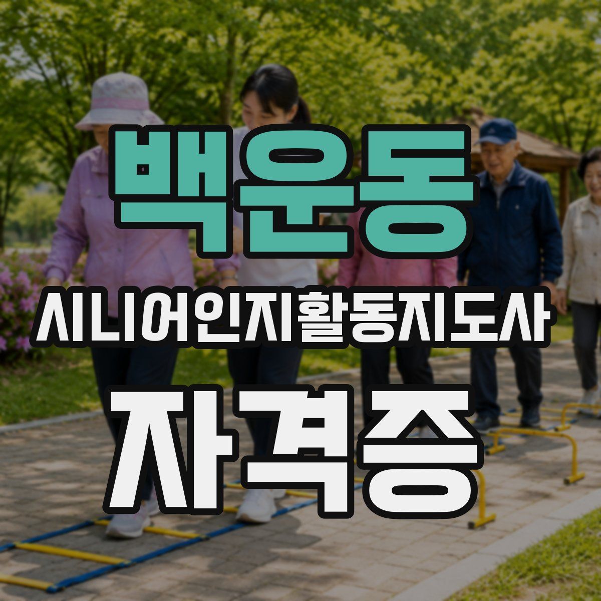 백운동 시니어인지활동지도사 자격증