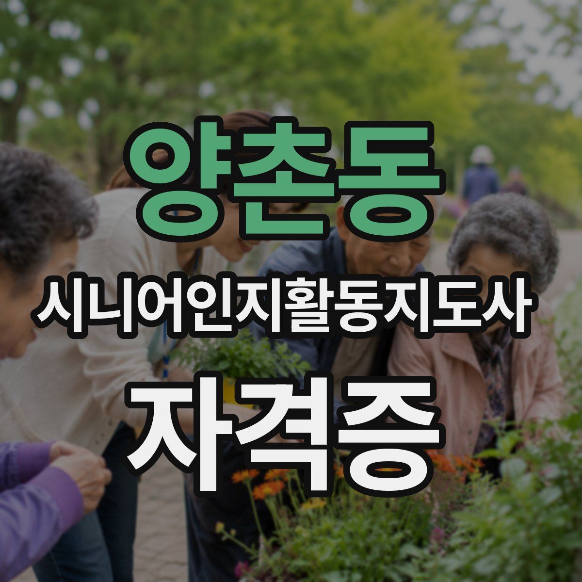 양촌동 시니어인지활동지도사 자격증