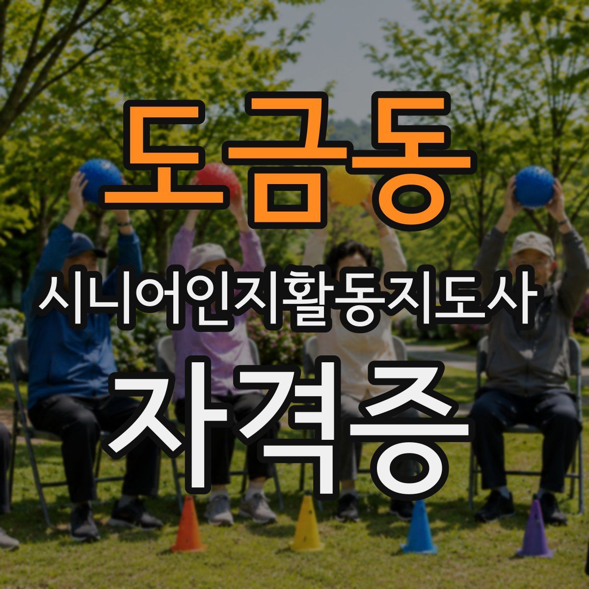 도금동 시니어인지활동지도사 자격증