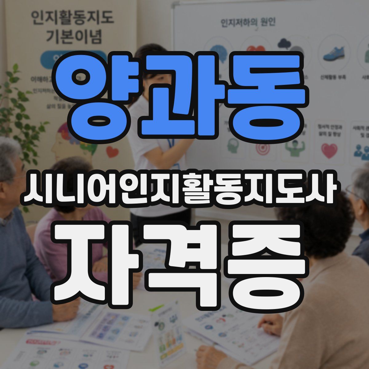 양과동 시니어인지활동지도사 자격증