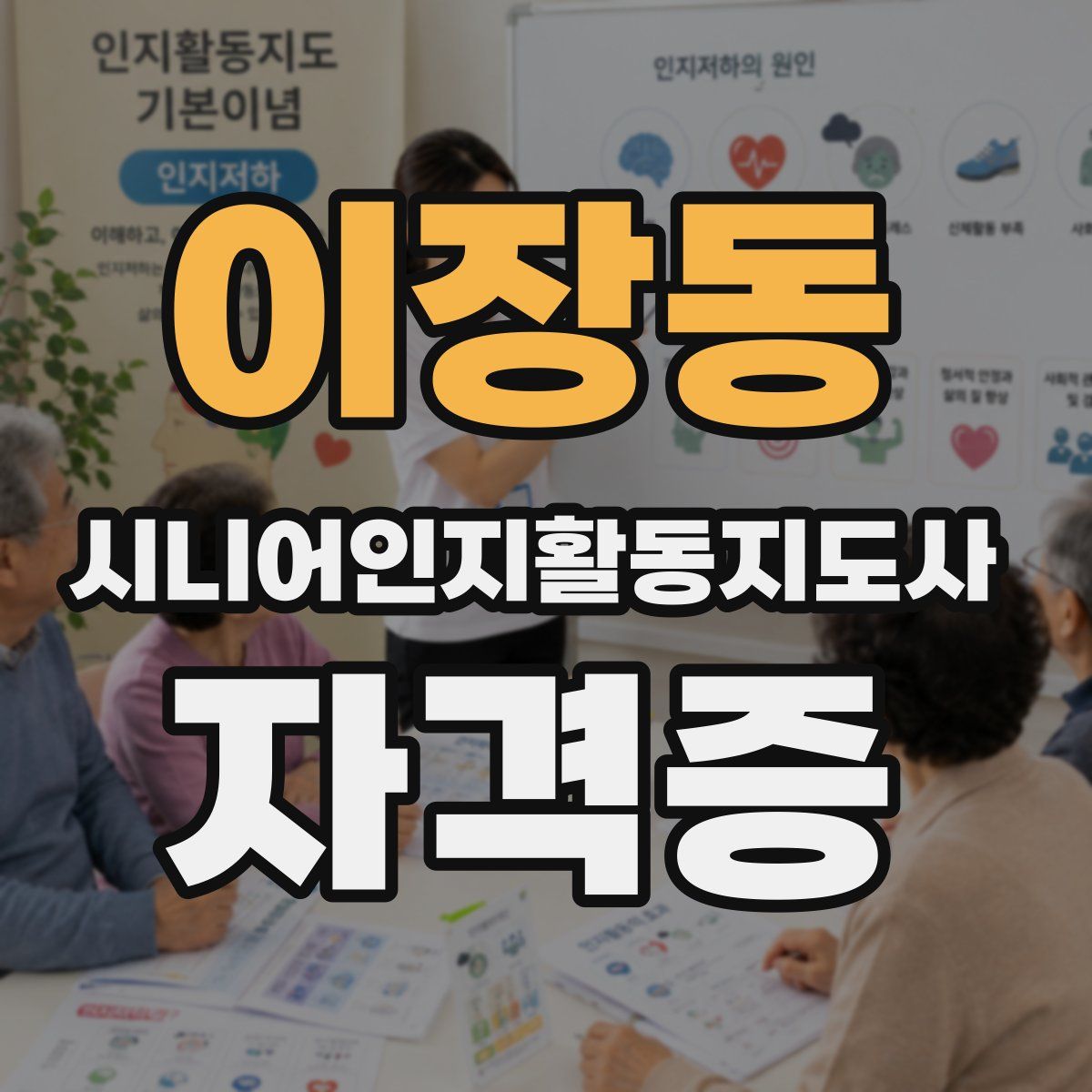 이장동 시니어인지활동지도사 자격증