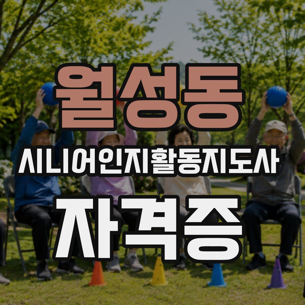 월성동 시니어인지활동지도사 자격증