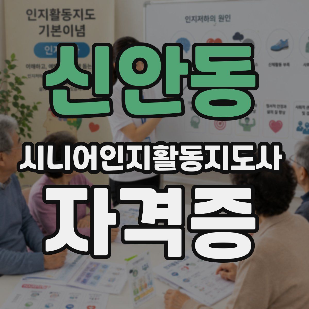 신안동 시니어인지활동지도사 자격증