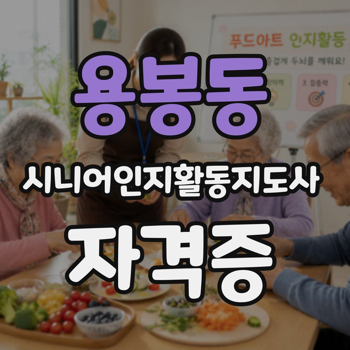 용봉동 시니어인지활동지도사 자격증
