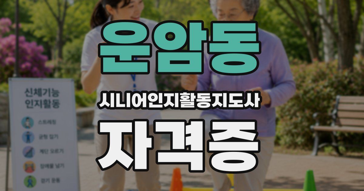 운암동 시니어인지활동지도사 자격증