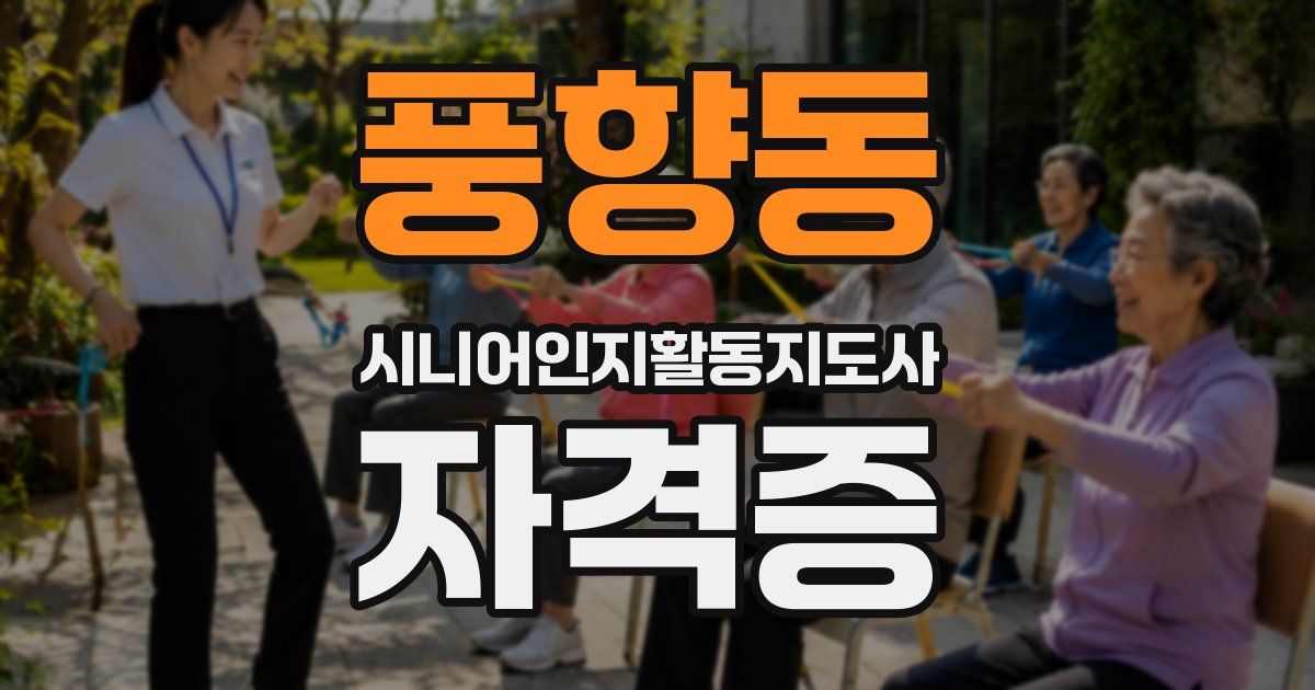 풍향동 시니어인지활동지도사 자격증