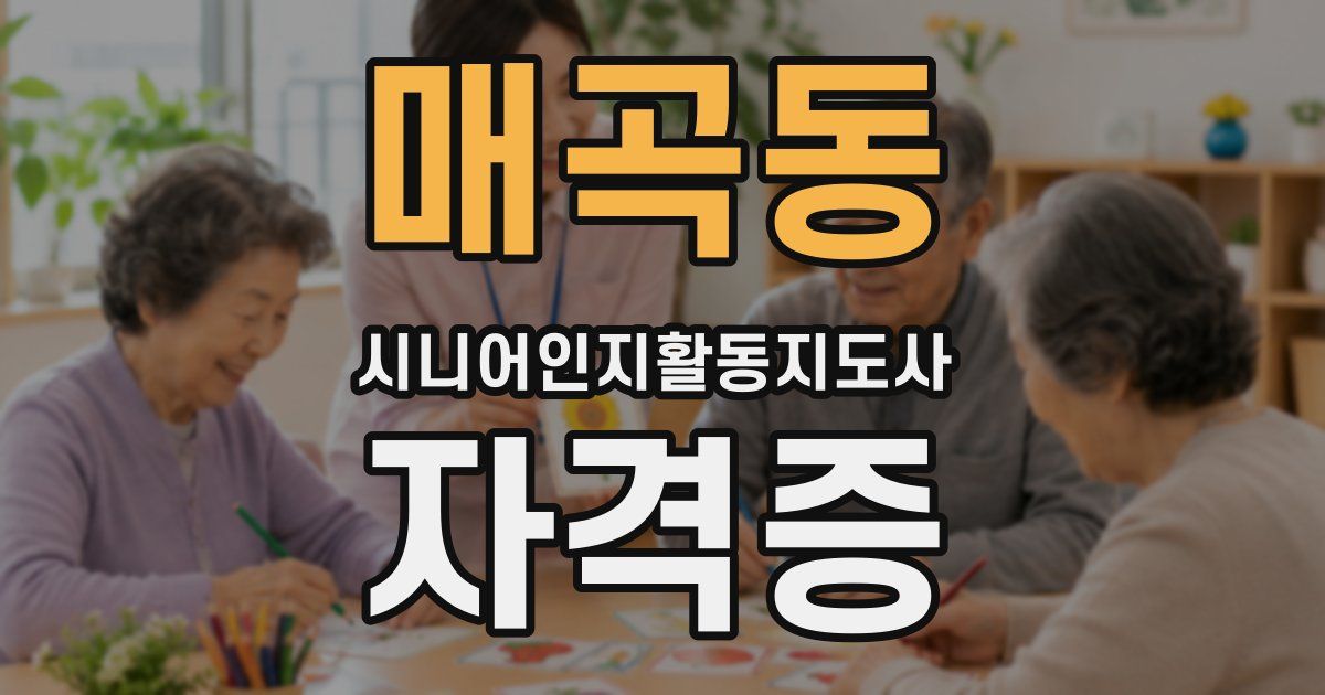매곡동 시니어인지활동지도사 자격증