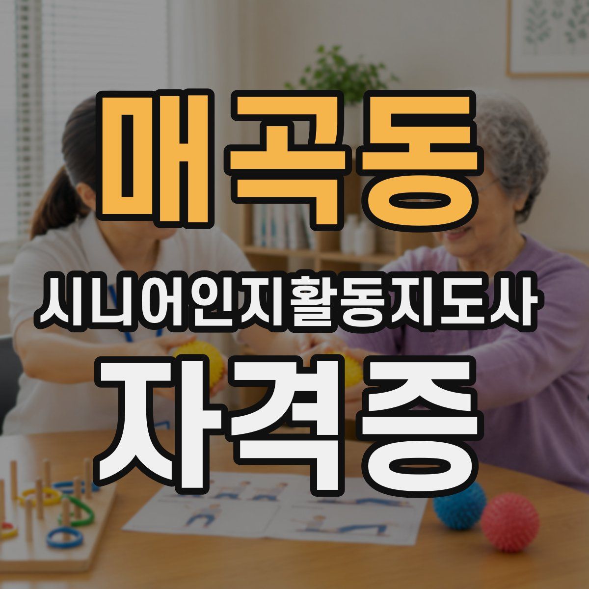매곡동 시니어인지활동지도사 자격증