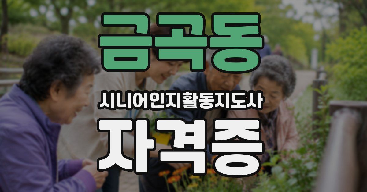 금곡동 시니어인지활동지도사 자격증