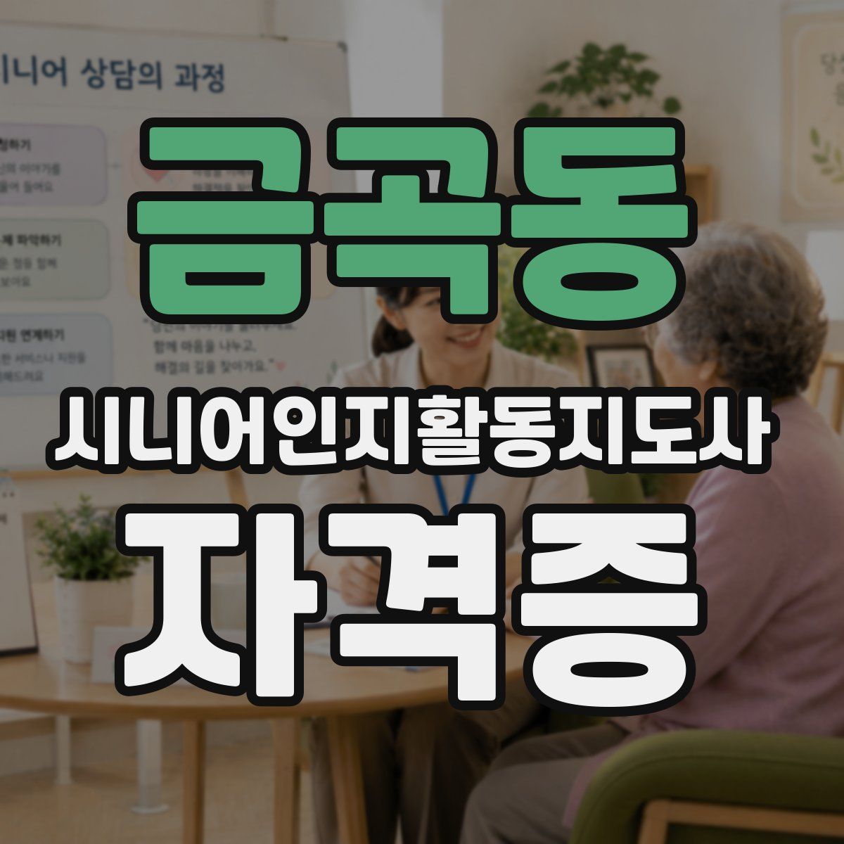 금곡동 시니어인지활동지도사 자격증