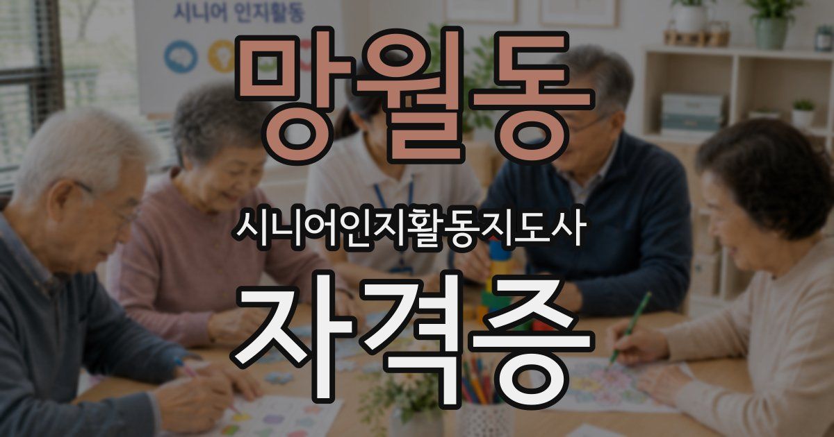 망월동 시니어인지활동지도사 자격증