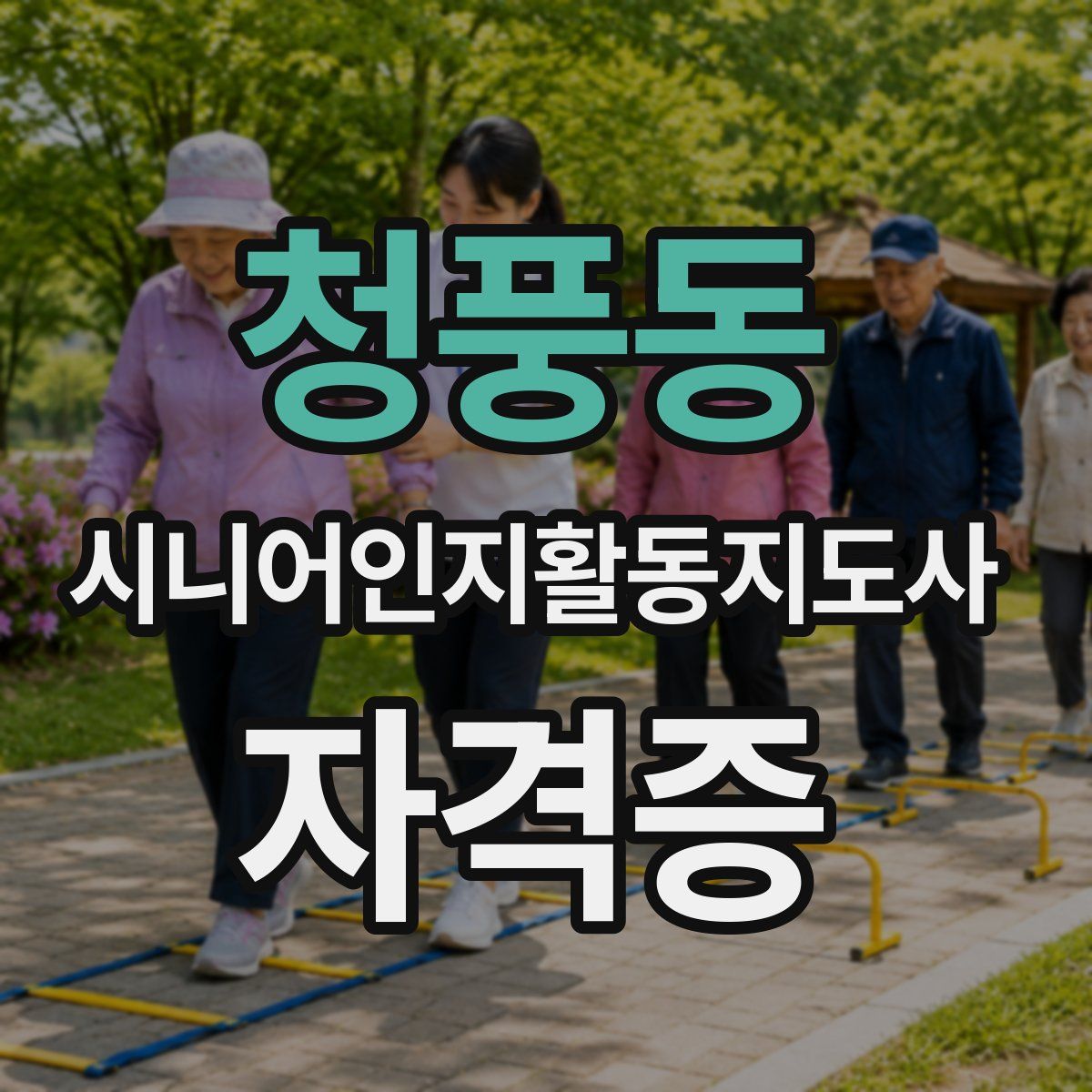 청풍동 시니어인지활동지도사 자격증