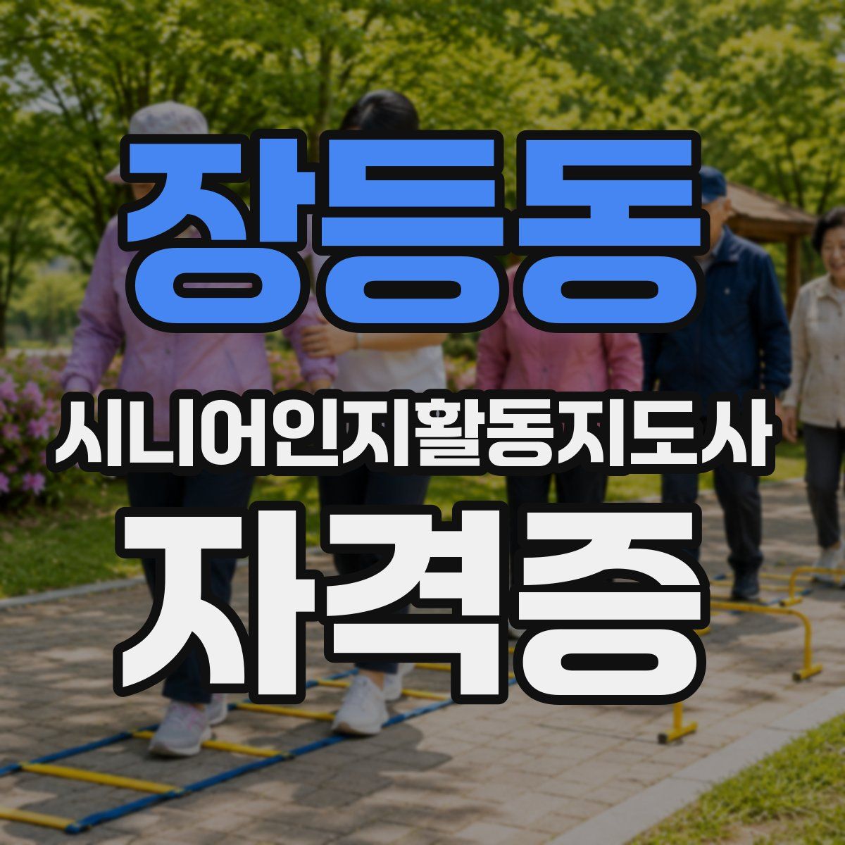 장등동 시니어인지활동지도사 자격증