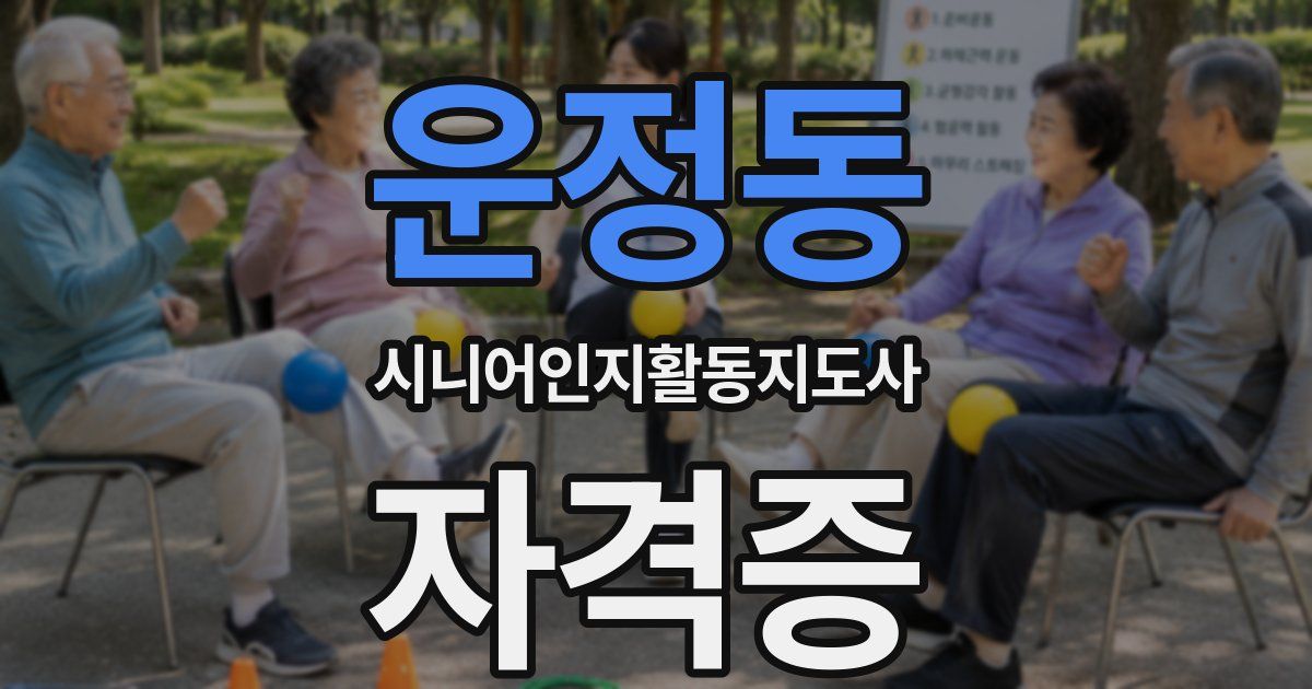 운정동 시니어인지활동지도사 자격증