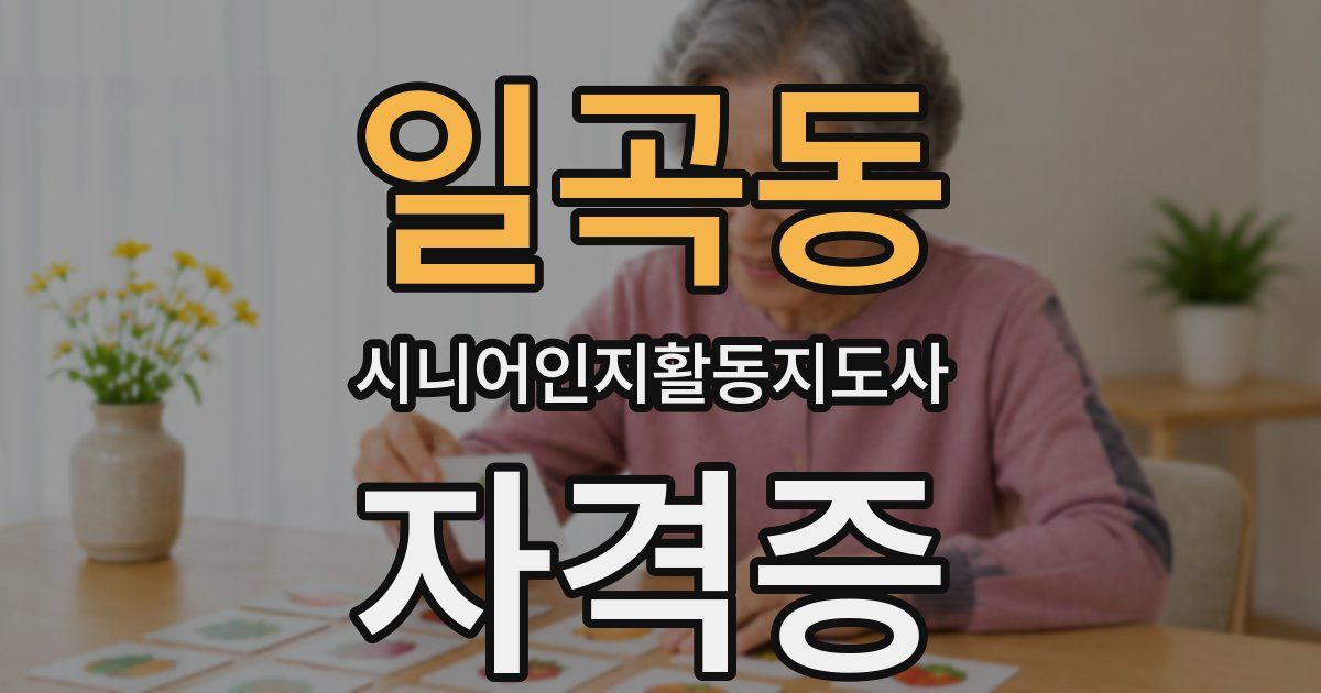 일곡동 시니어인지활동지도사 자격증