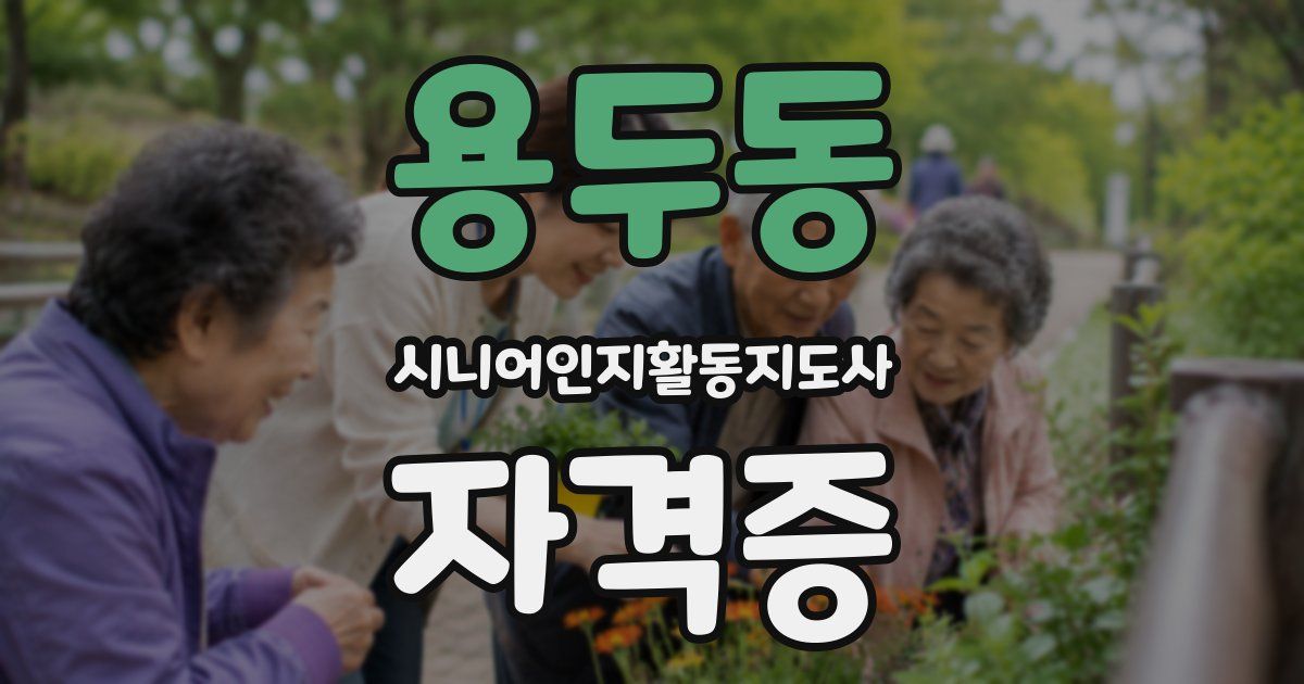 용두동 시니어인지활동지도사 자격증