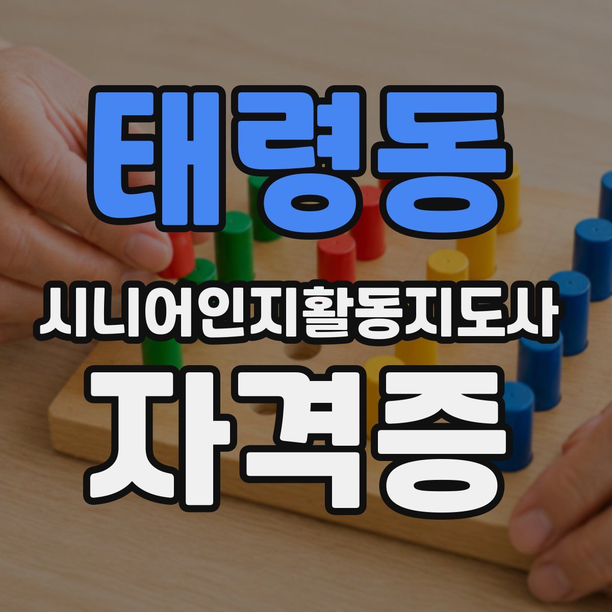 태령동 시니어인지활동지도사 자격증
