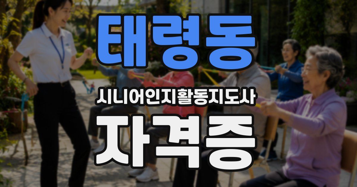 태령동 시니어인지활동지도사 자격증