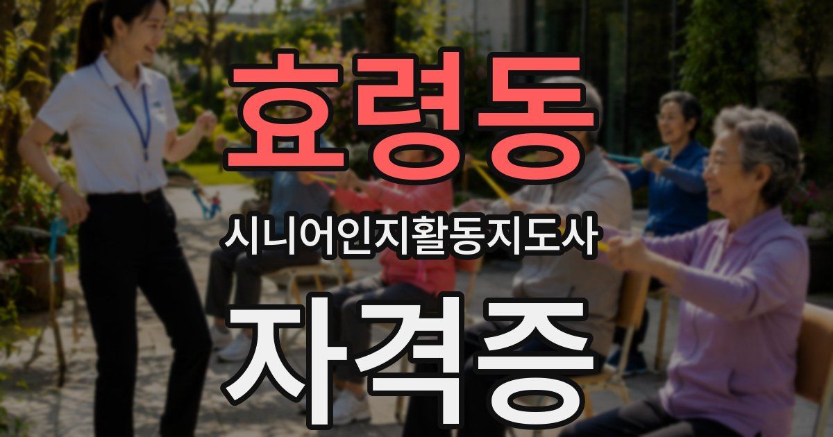 효령동 시니어인지활동지도사 자격증