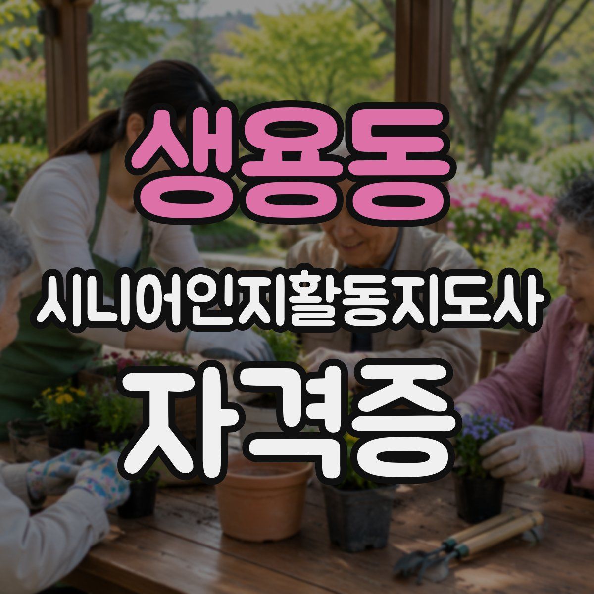 생용동 시니어인지활동지도사 자격증