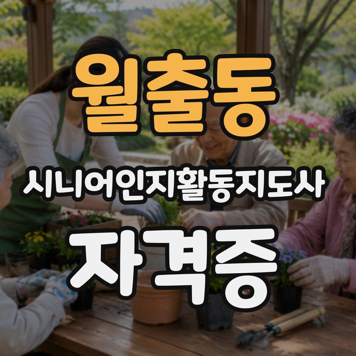 월출동 시니어인지활동지도사 자격증