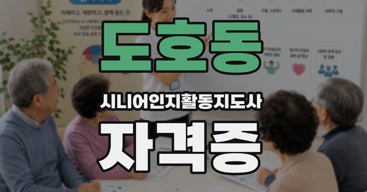 도호동 시니어인지활동지도사 자격증