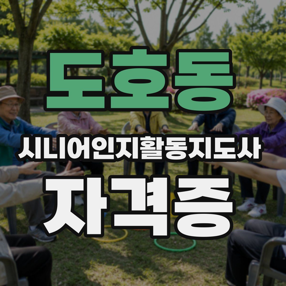 도호동 시니어인지활동지도사 자격증