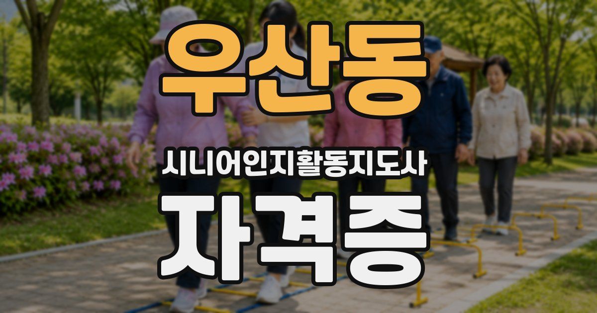 우산동 시니어인지활동지도사 자격증