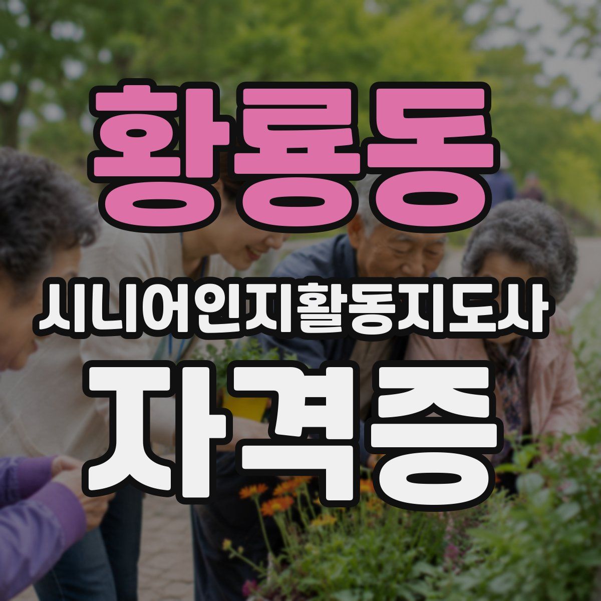 황룡동 시니어인지활동지도사 자격증