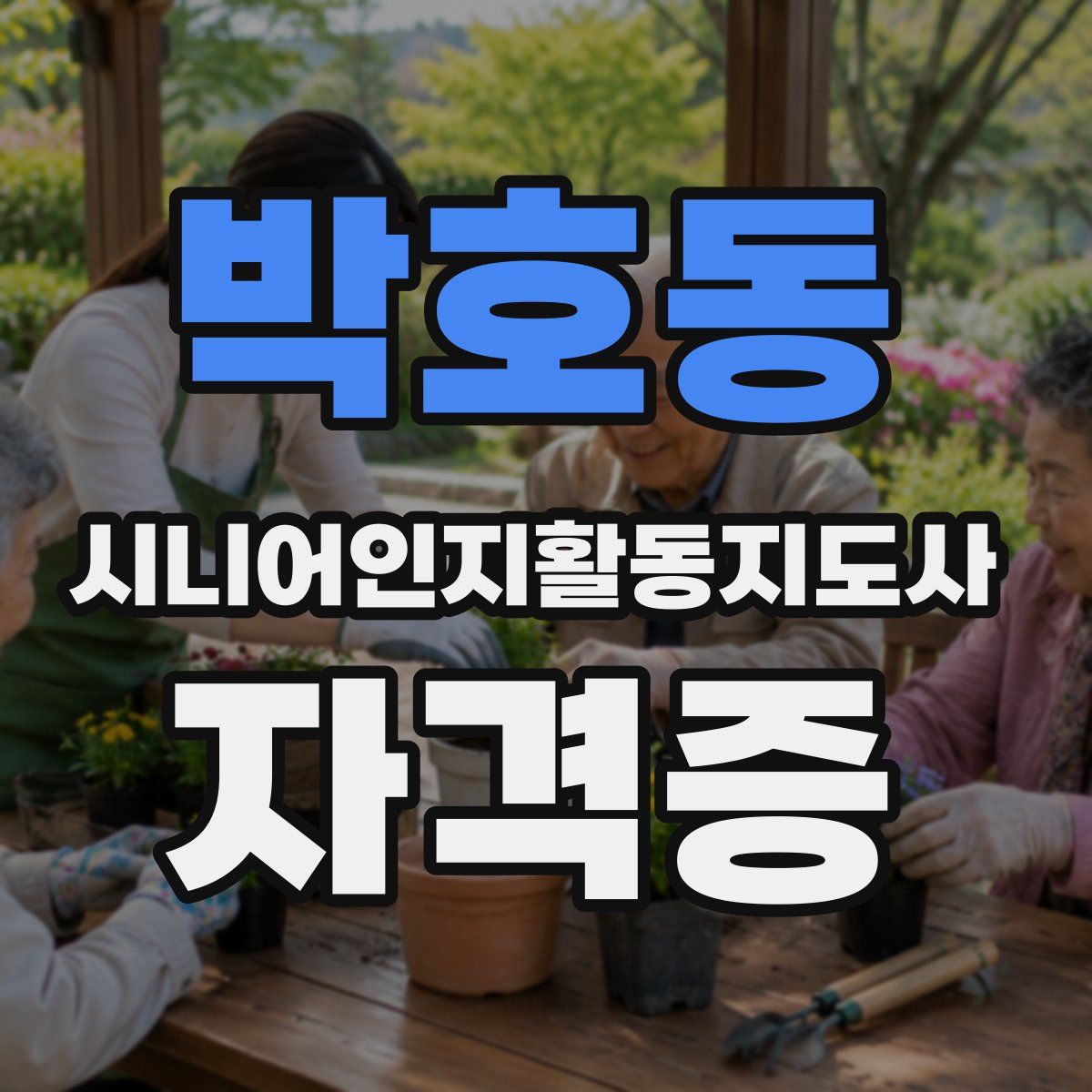 박호동 시니어인지활동지도사 자격증