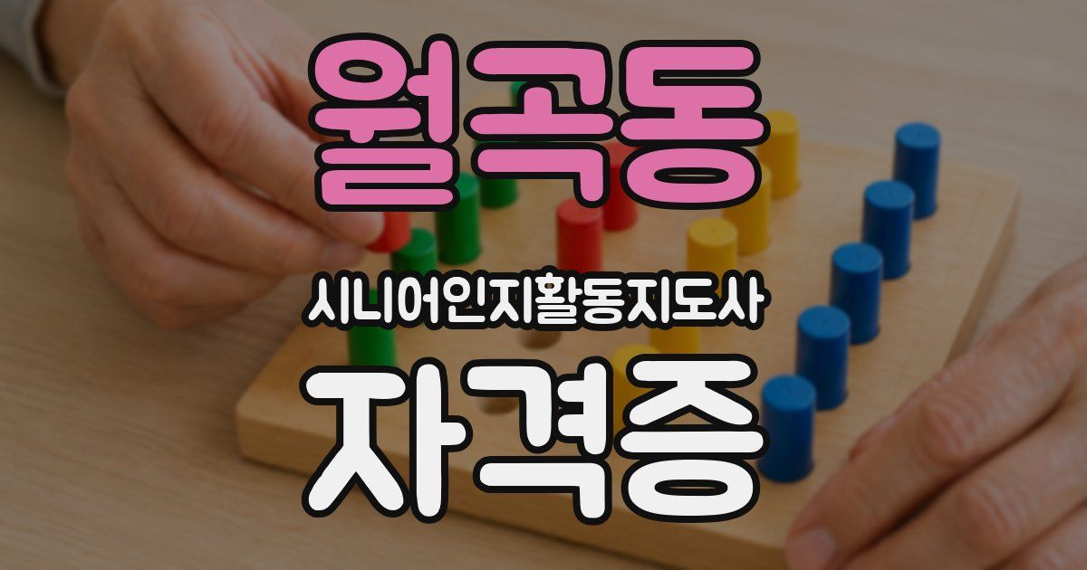 월곡동 시니어인지활동지도사 자격증
