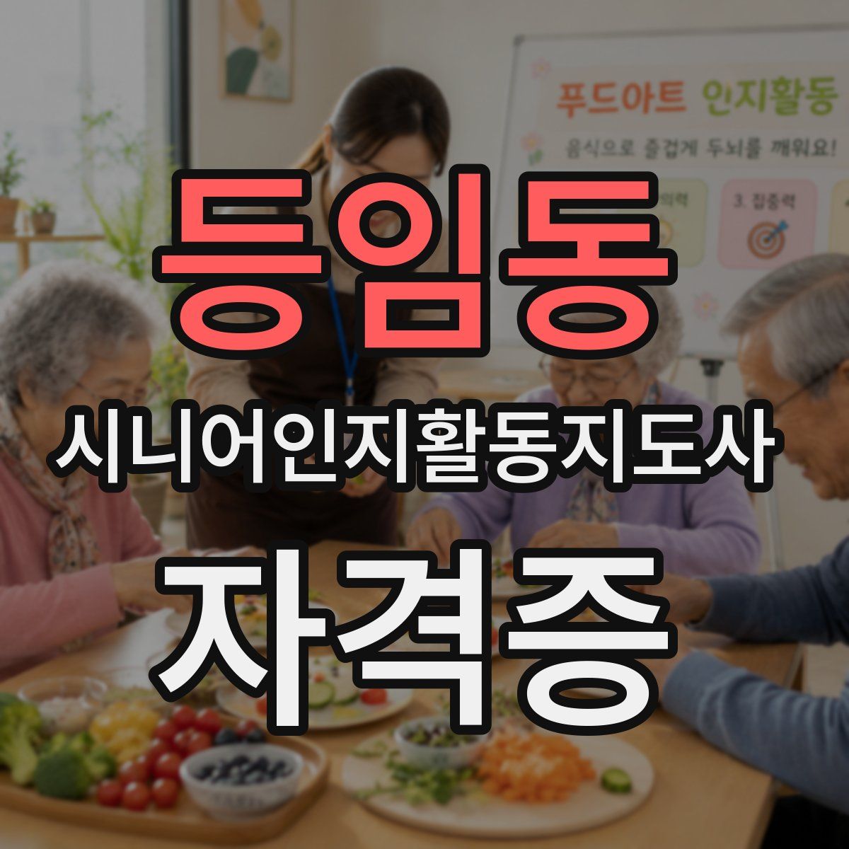등임동 시니어인지활동지도사 자격증