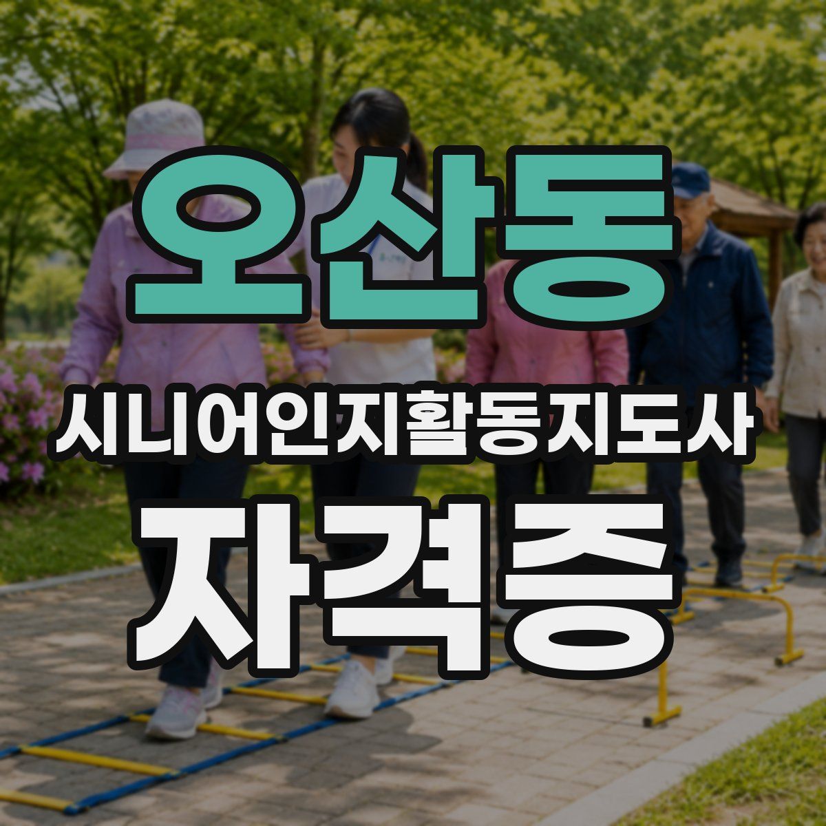 오산동 시니어인지활동지도사 자격증