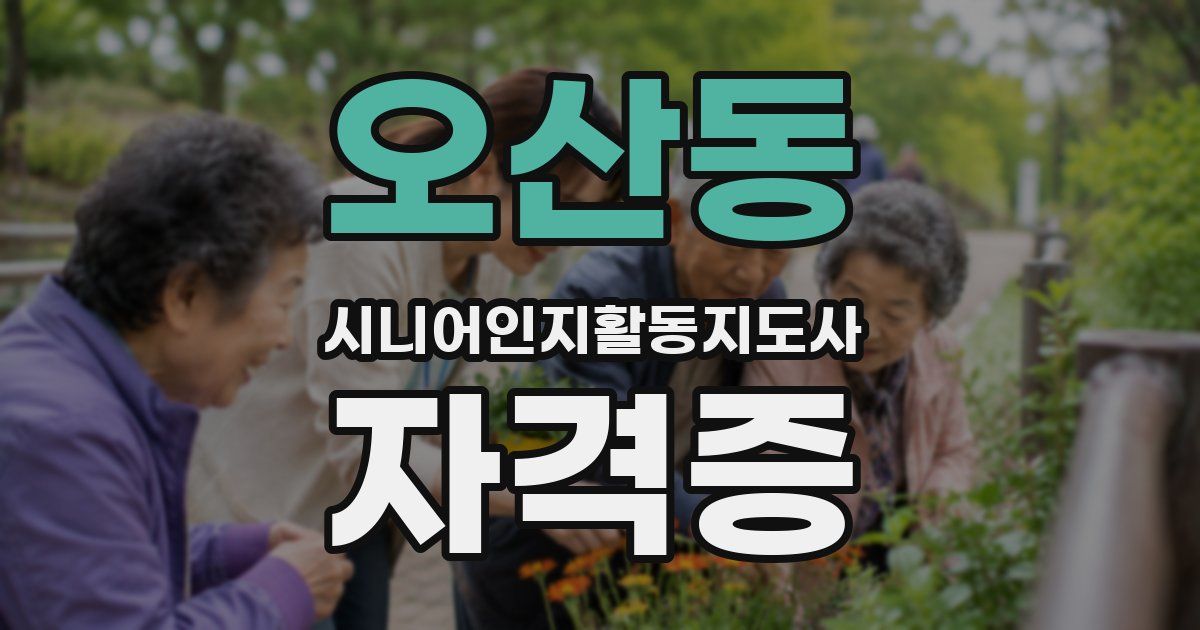 오산동 시니어인지활동지도사 자격증