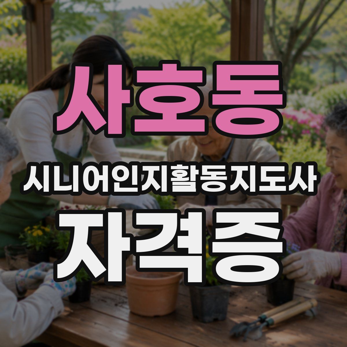 사호동 시니어인지활동지도사 자격증