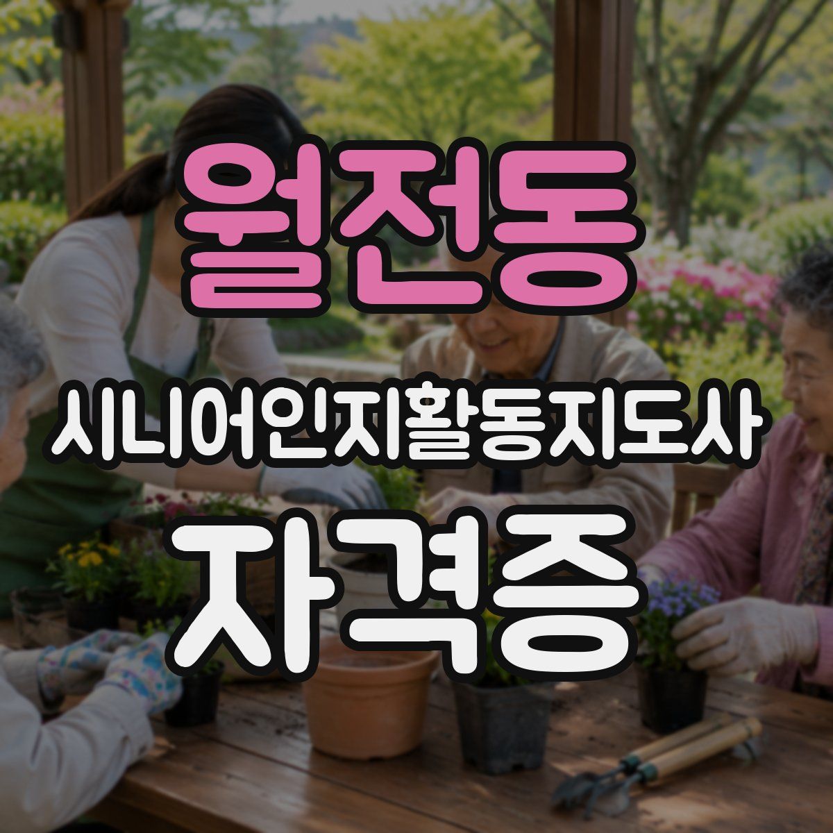 월전동 시니어인지활동지도사 자격증