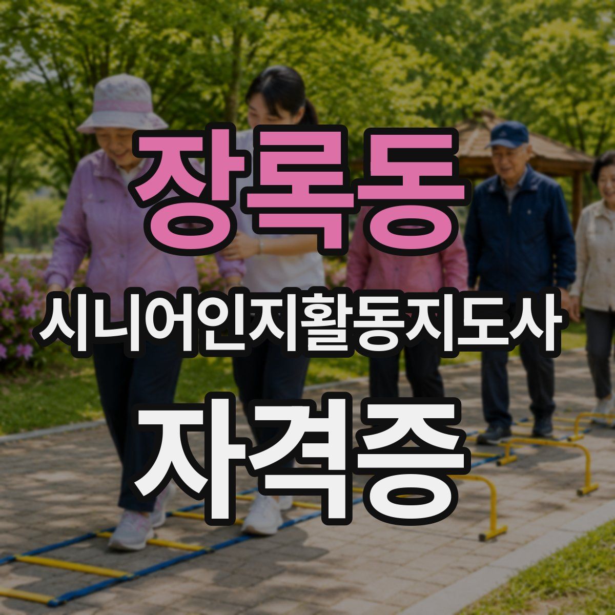 장록동 시니어인지활동지도사 자격증