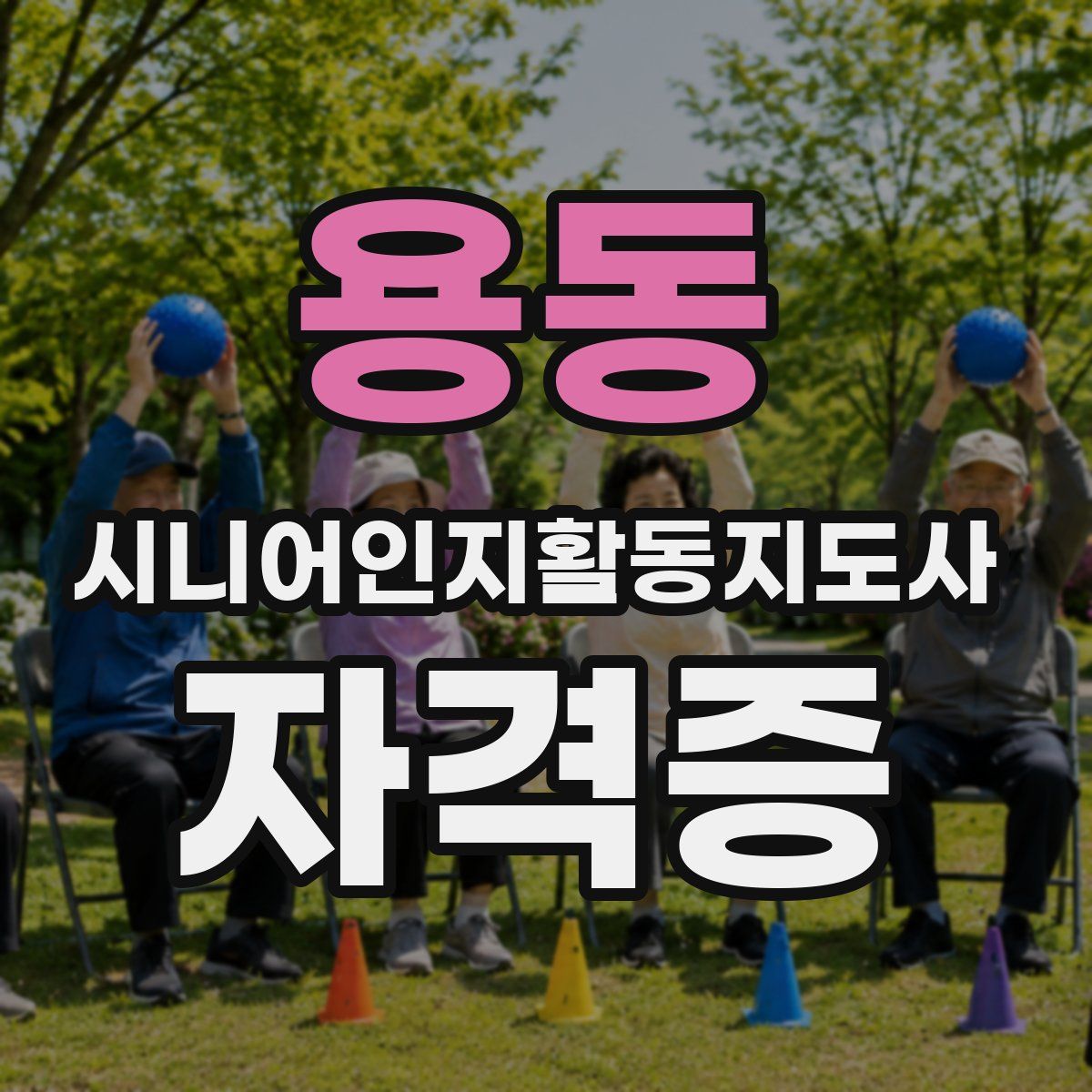 용동 시니어인지활동지도사 자격증