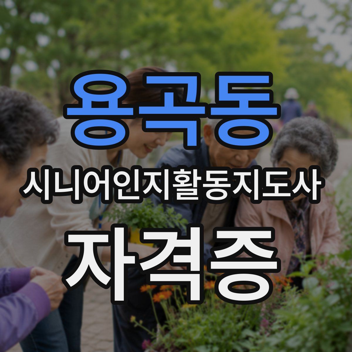 용곡동 시니어인지활동지도사 자격증