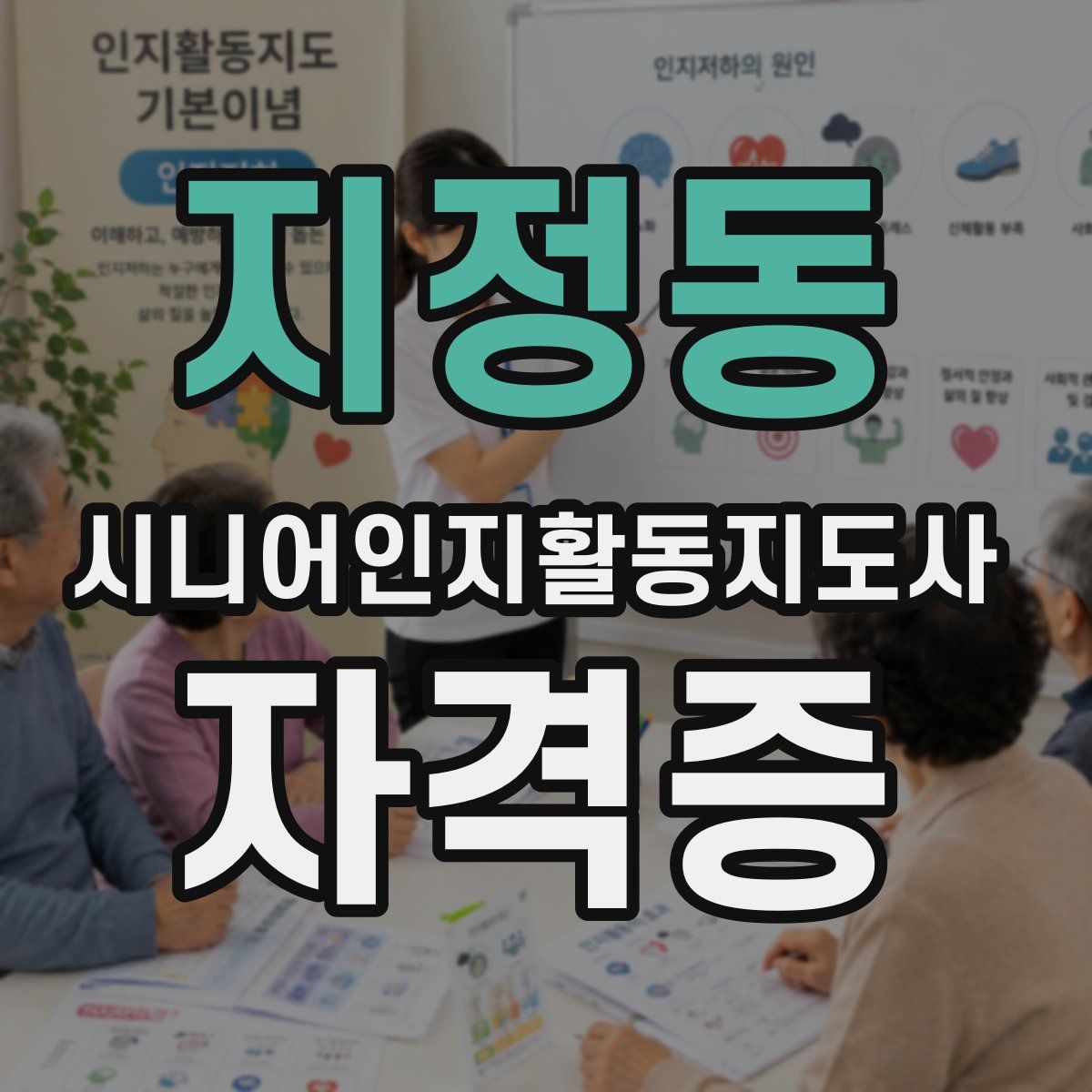 지정동 시니어인지활동지도사 자격증