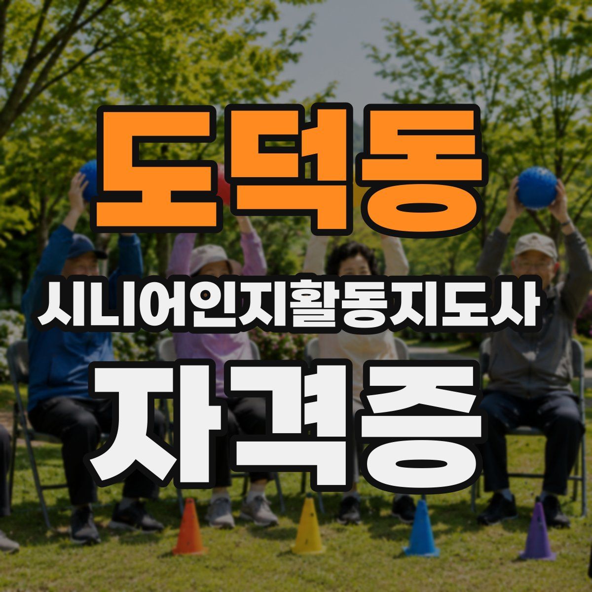 도덕동 시니어인지활동지도사 자격증