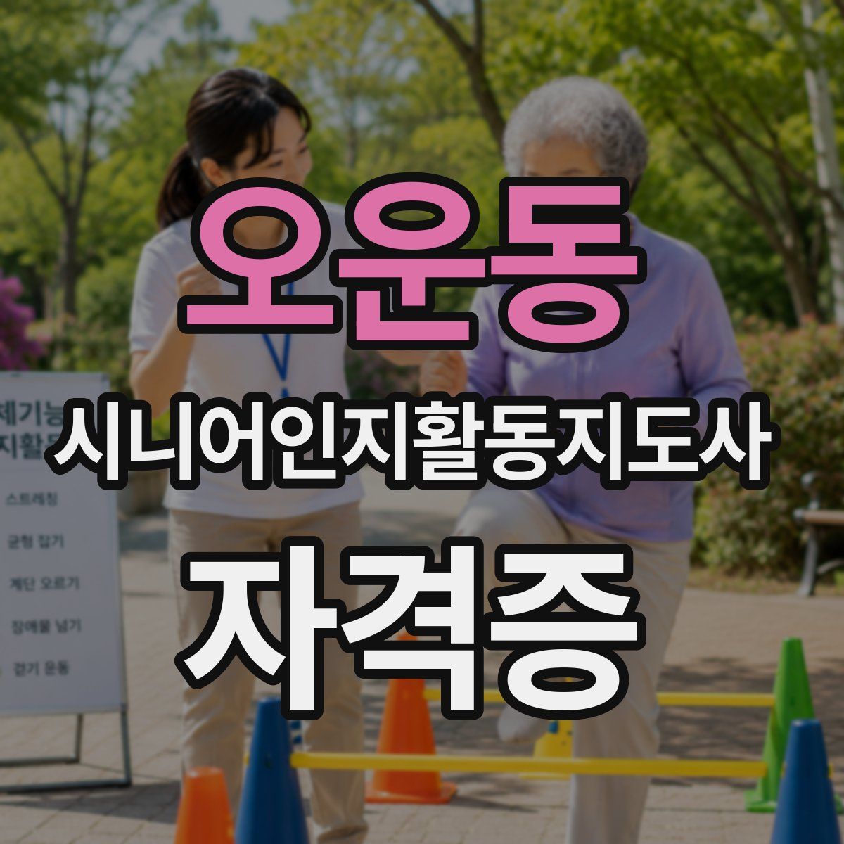 오운동 시니어인지활동지도사 자격증